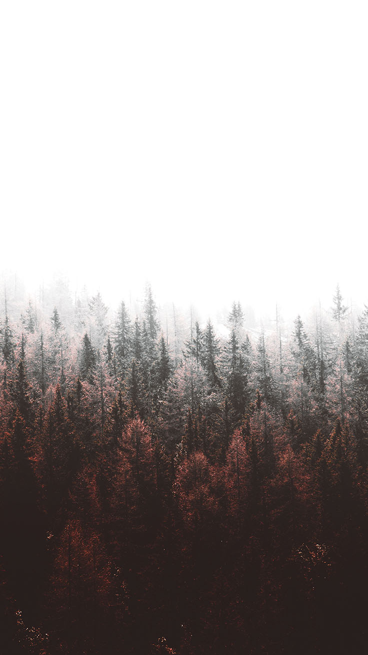 Tap To Download Free Forest iPhone X Wallpaper By Xr Wallpaper Forest