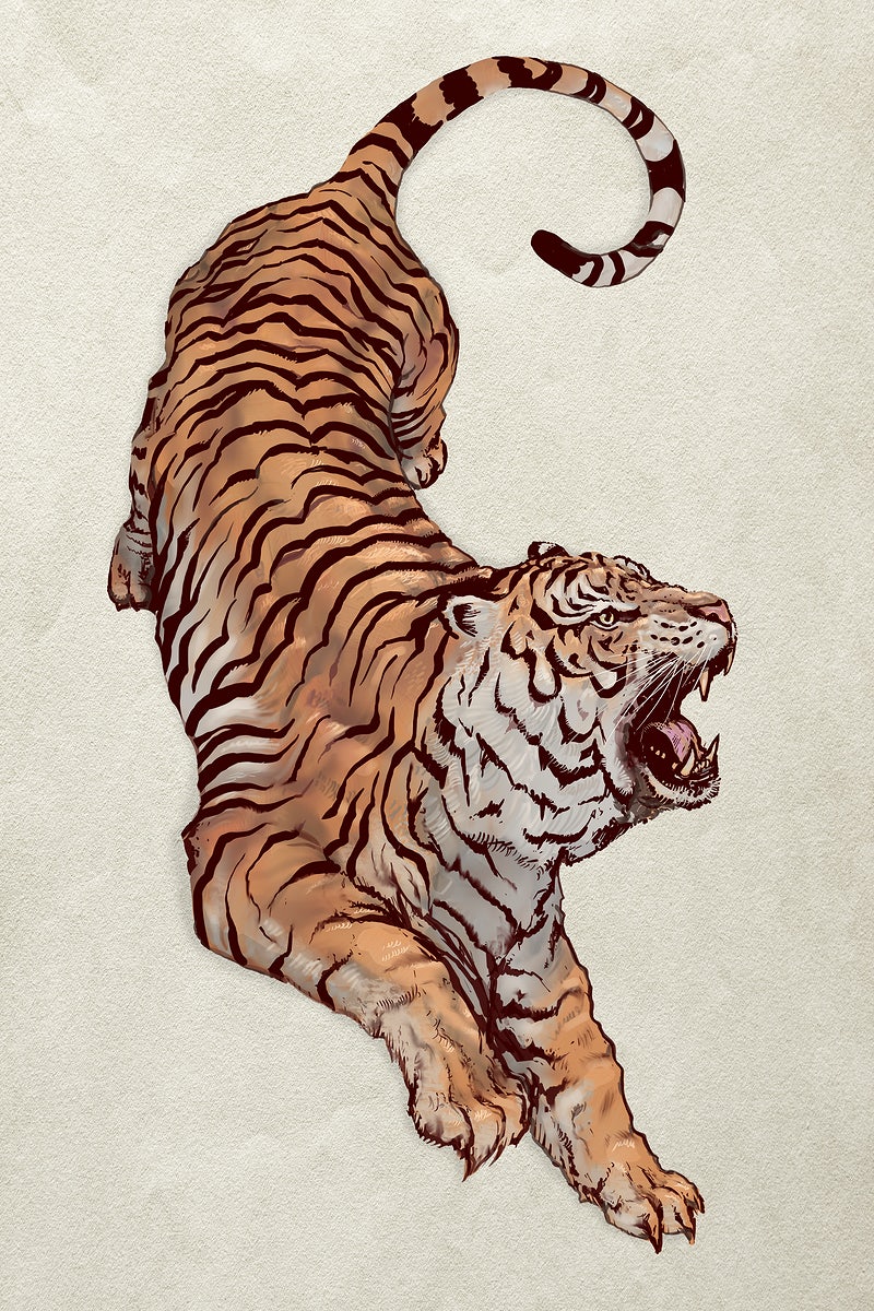Tiger Image. Free HD Background, PNGs, Vectors & Illustrations