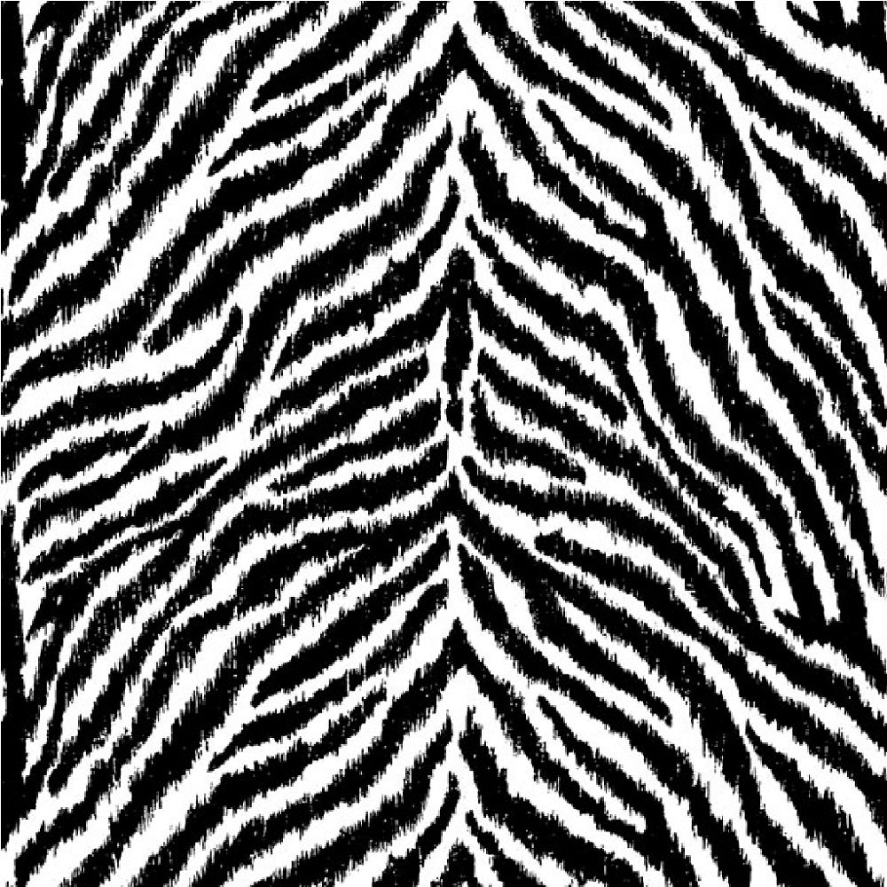 Black And White Tiger Print Background