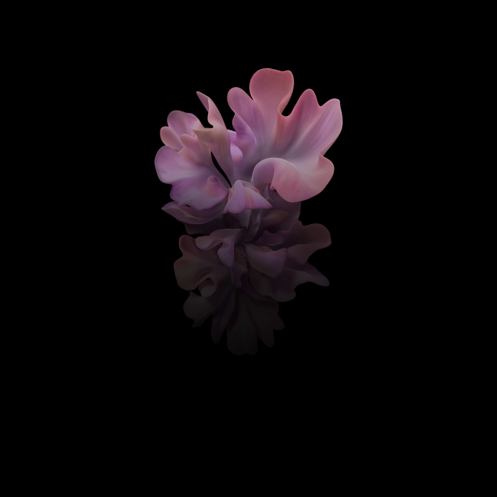 Samsung wallpaper: Download them all here