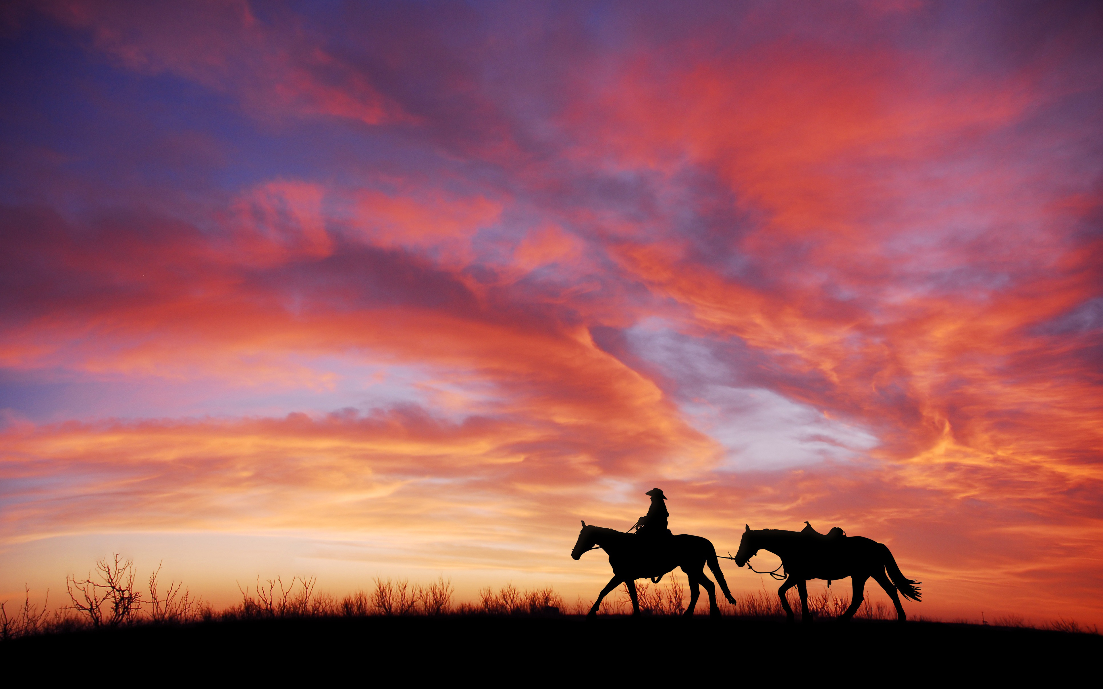 Wallpaper 4k Cowboy Horses 4K Wallpaper