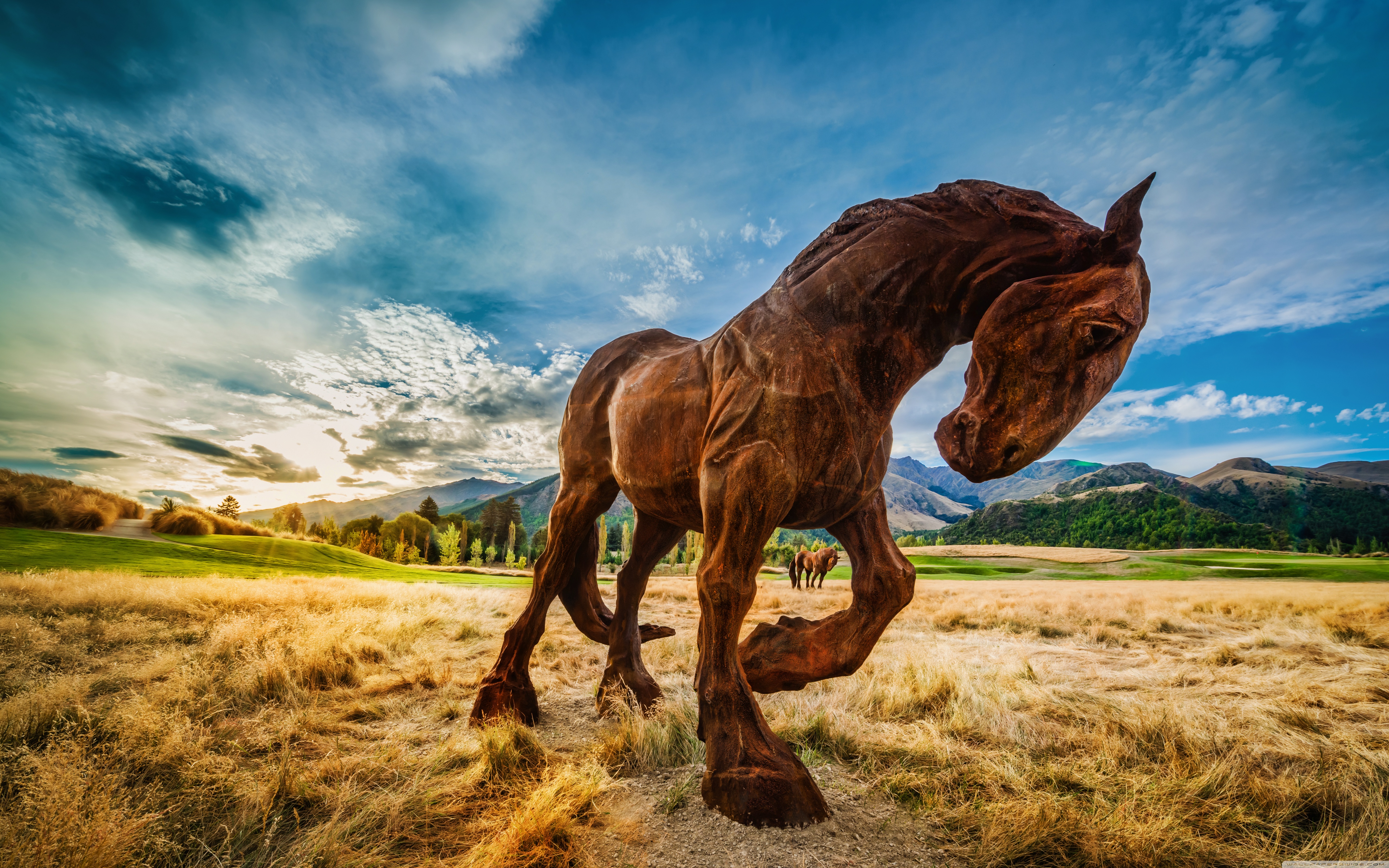 Horse Desktop Background