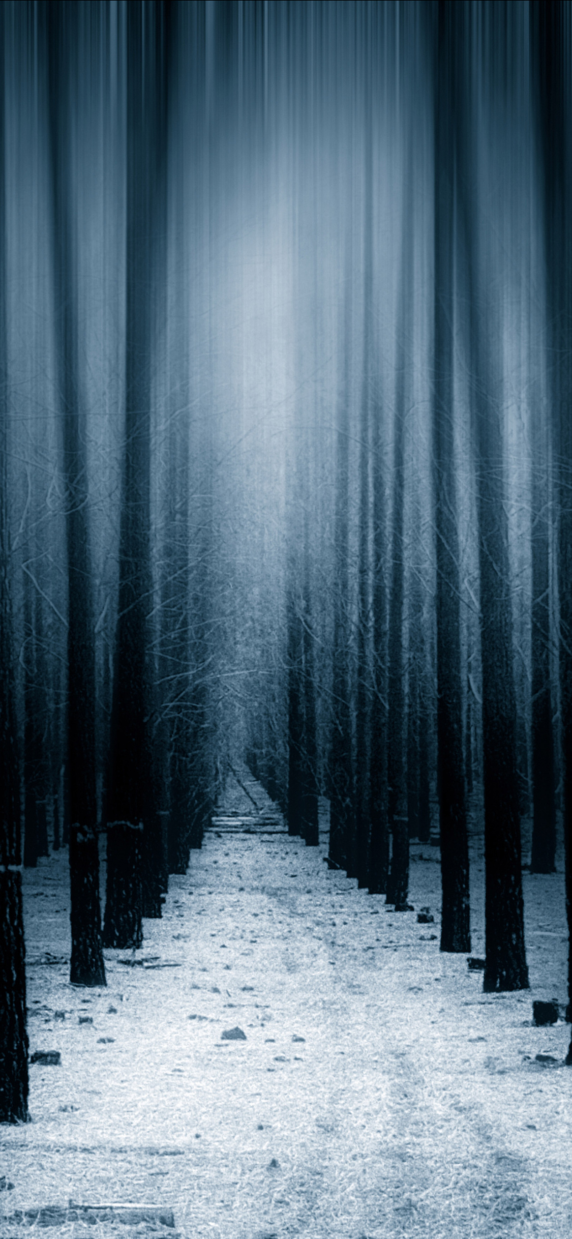 Dark Forest Woods Snow Winter 8k iPhone XS, iPhone iPhone X HD 4k Wallpaper, Image, Background, Photo and Picture