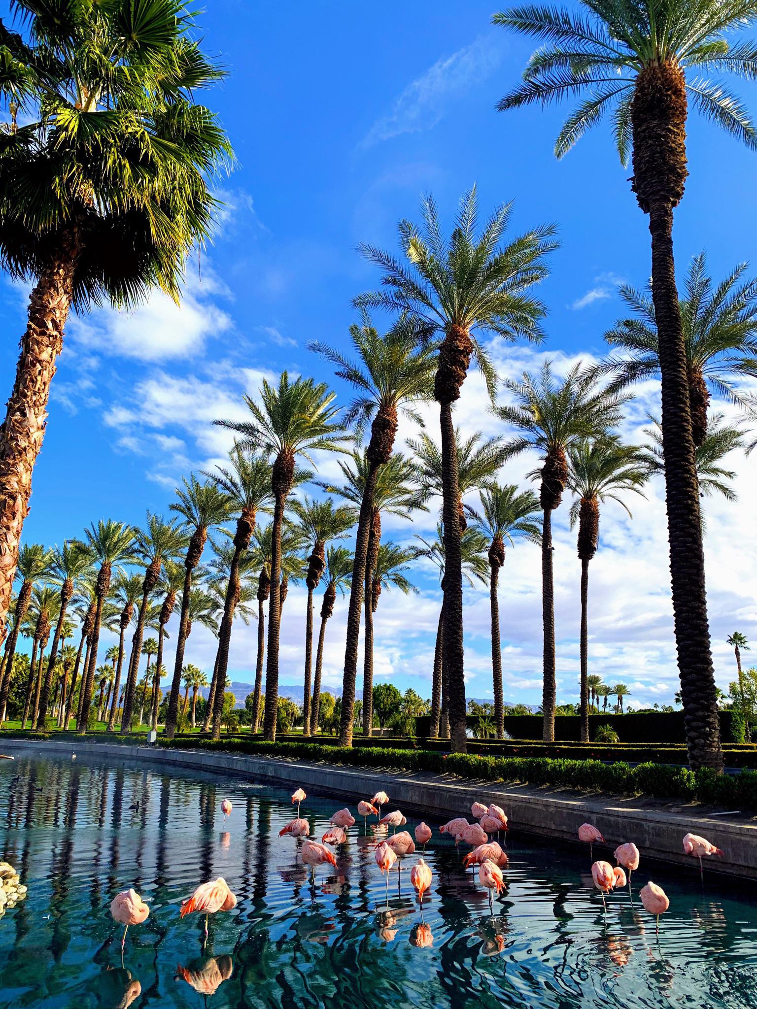 Took on my IPhone XS MAX in Palm Springs California, iPhone, Find My, Apple Inc