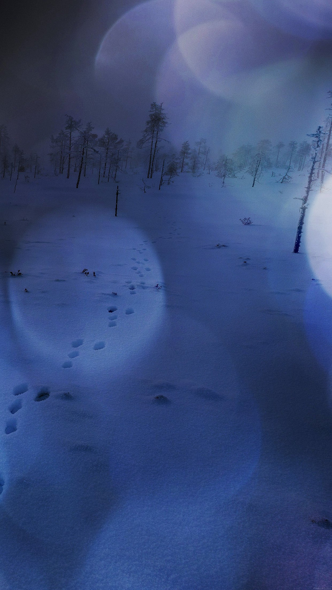 Snow Walk Winter Dark Blue Bokeh Footprints Nature Plus Wallpaper Dark Winter