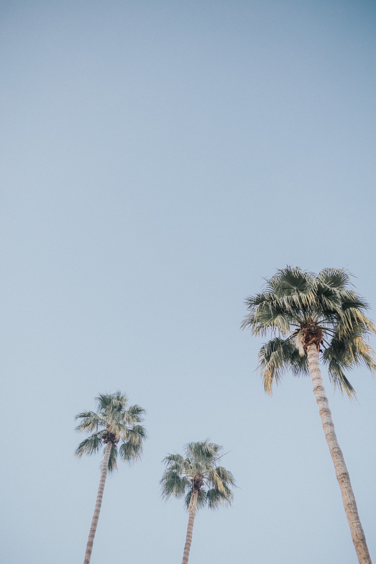 Saguaro Palm Springs Session