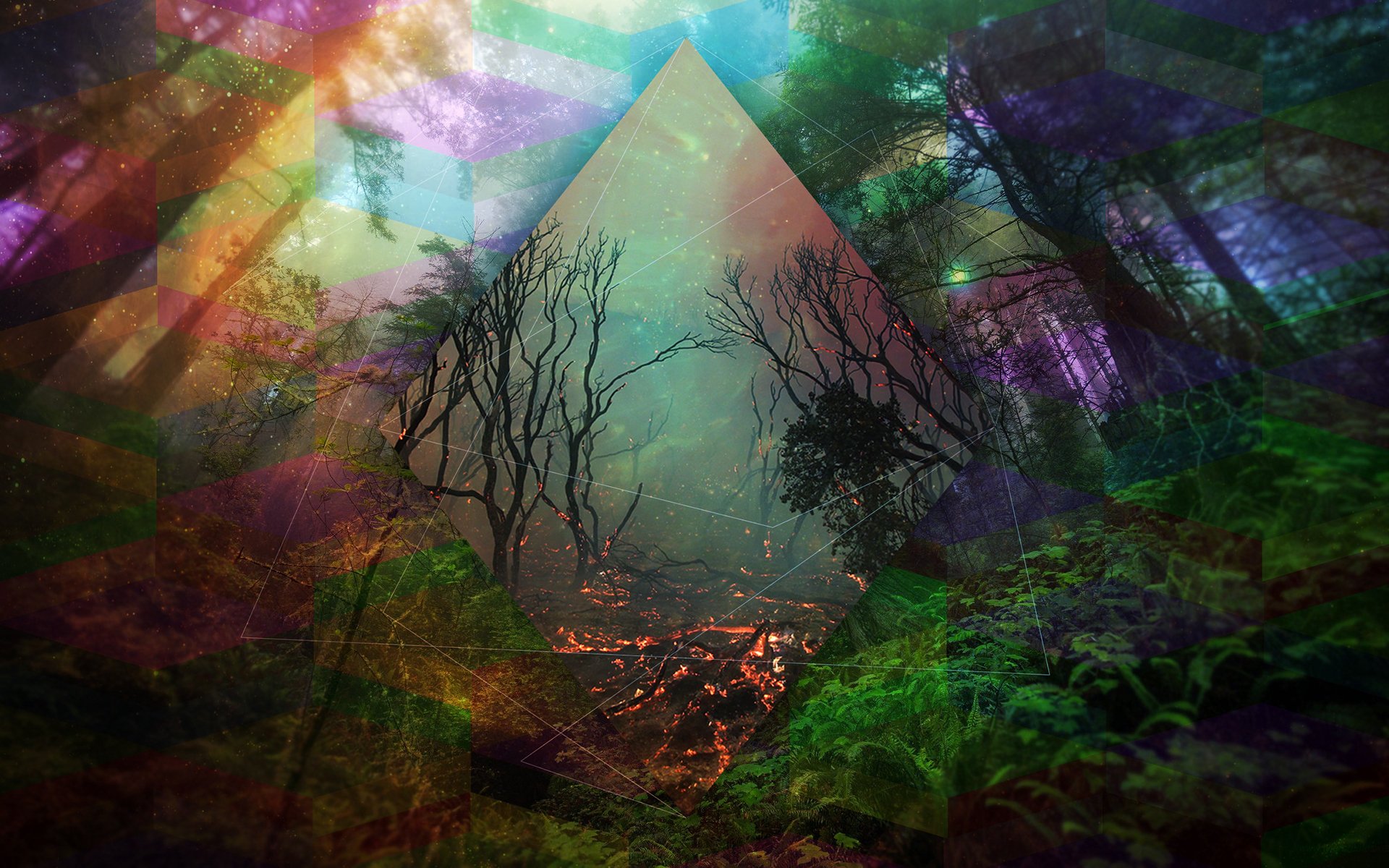 Abstraction line color forest trees fantasy fire flames dark mood artwork art photohop psychedelic wallpaperx1200