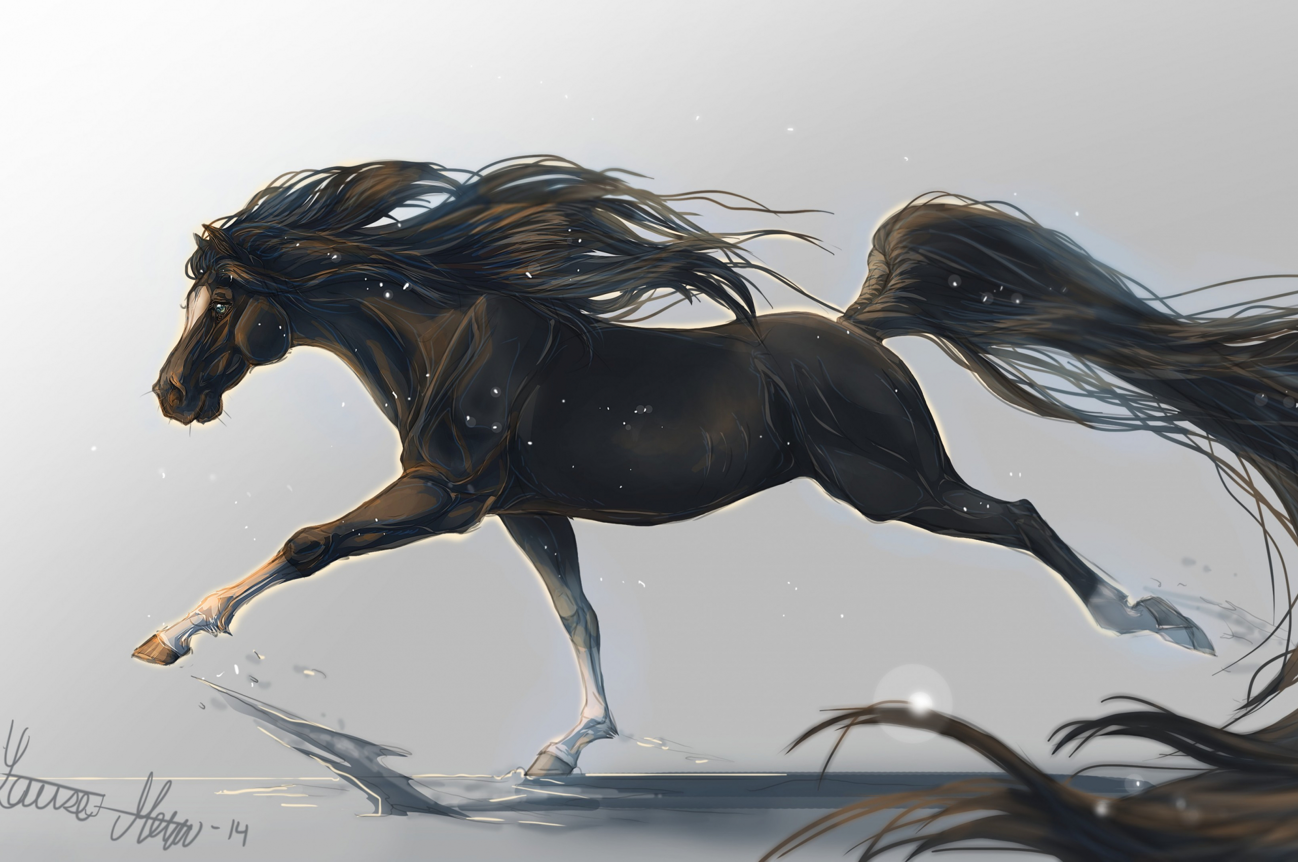 Free download Wallpaper horse hooves 5k 4k wallpaper mane galloping black [3840x2160] for your Desktop, Mobile & Tablet. Explore Galloping Wallpaper. Galloping Wallpaper