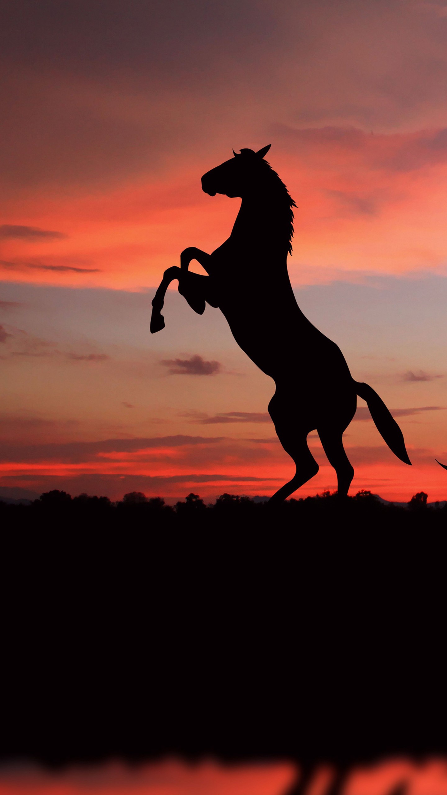 Horses With Background Of Sunset Sky 4K