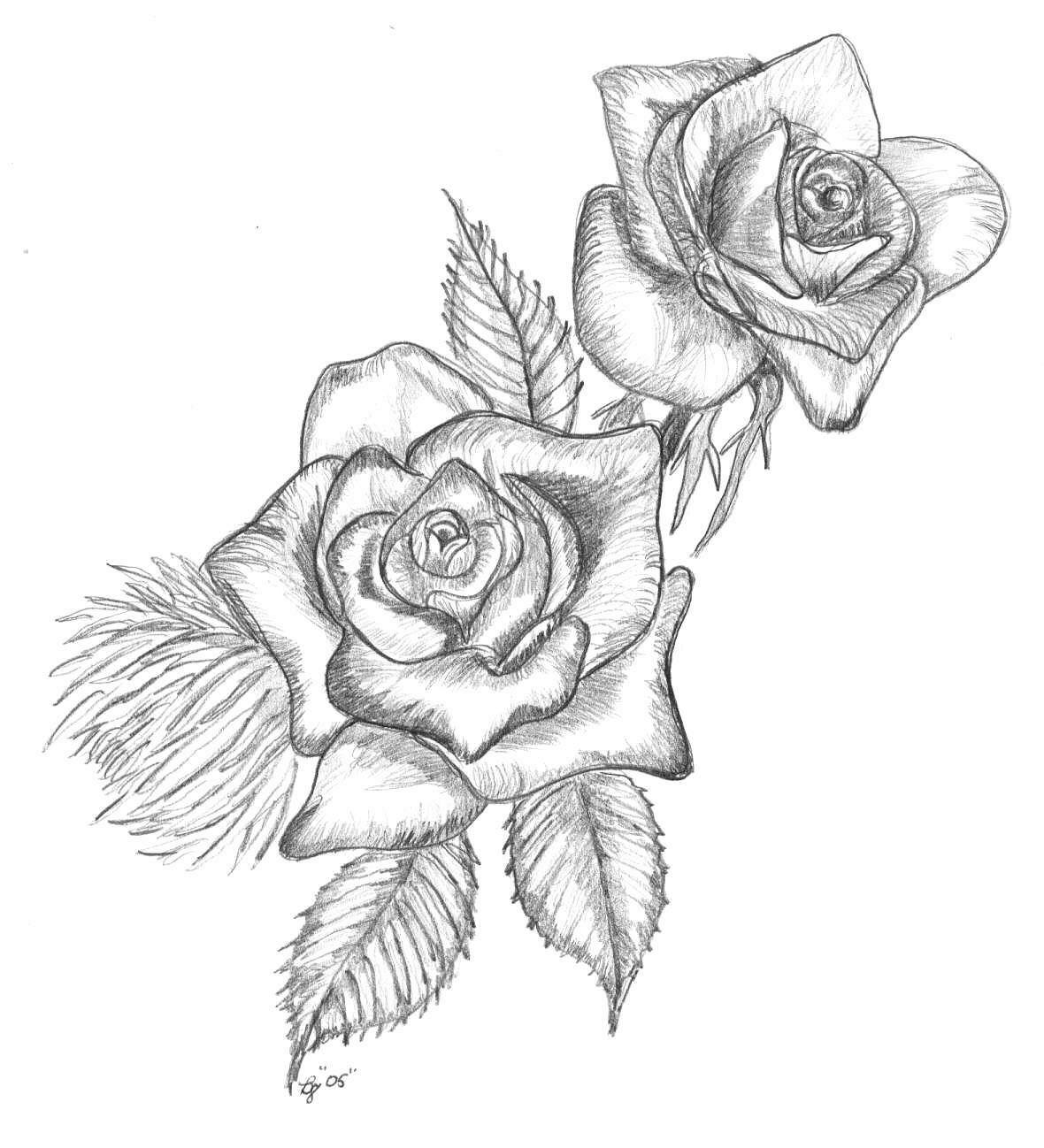 Rose Drawing Image