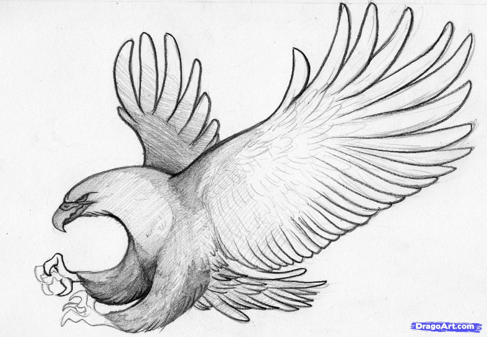 Simple Pencil Drawing Image Of Birds