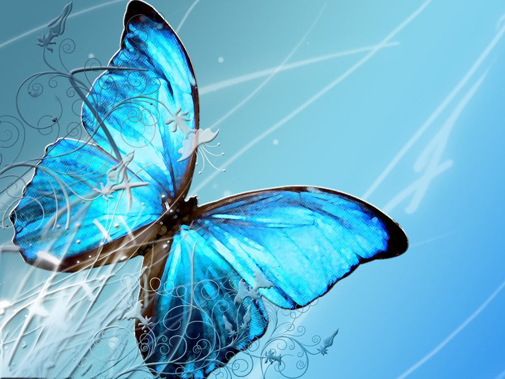 Free download blue butterfly art wallpaper blue butterfly art desktop wallpaper [1024x768] for your Desktop, Mobile & Tablet. Explore Blue Butterfly Wallpaper. Butterfly HD Wallpaper, Beautiful Butterfly Wallpaper for