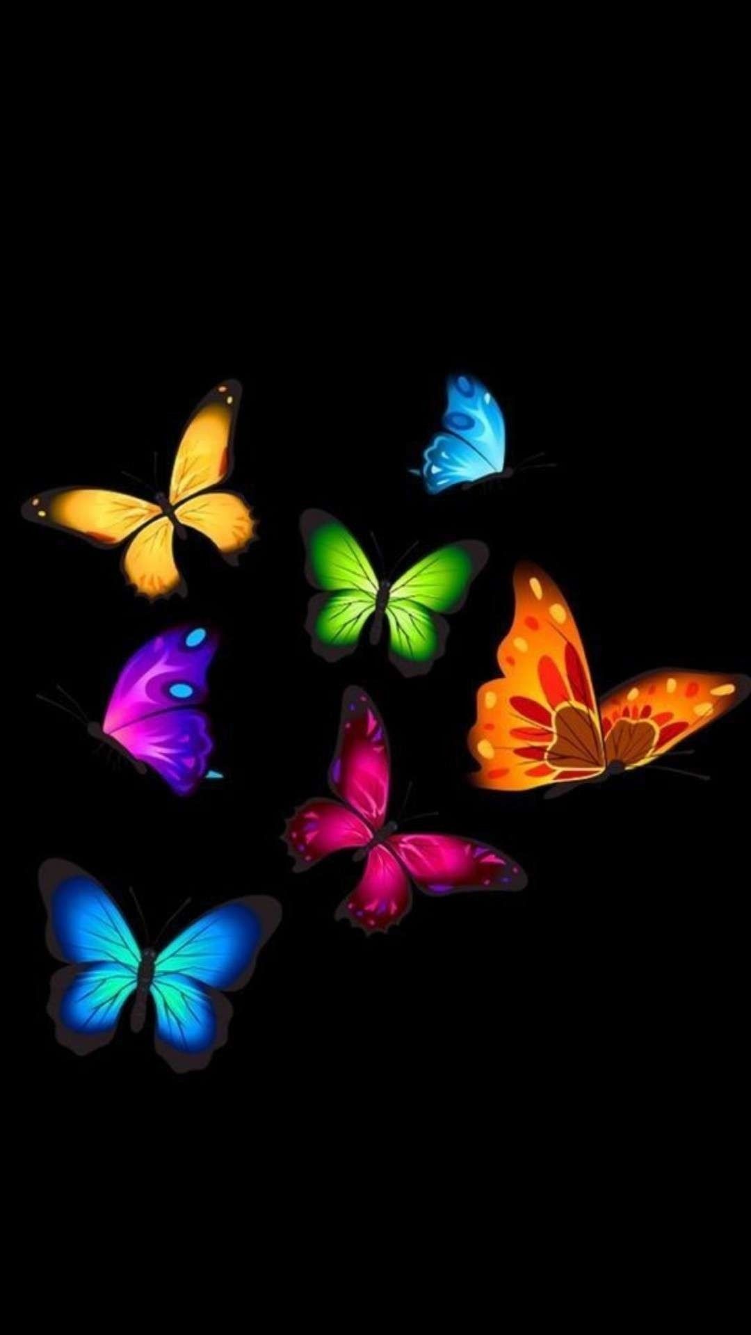 Butterfly Art, Butterflies, Wallpaper Android, Stuffing, Butterfly Wallpaper HD Wallpaper & Background Download