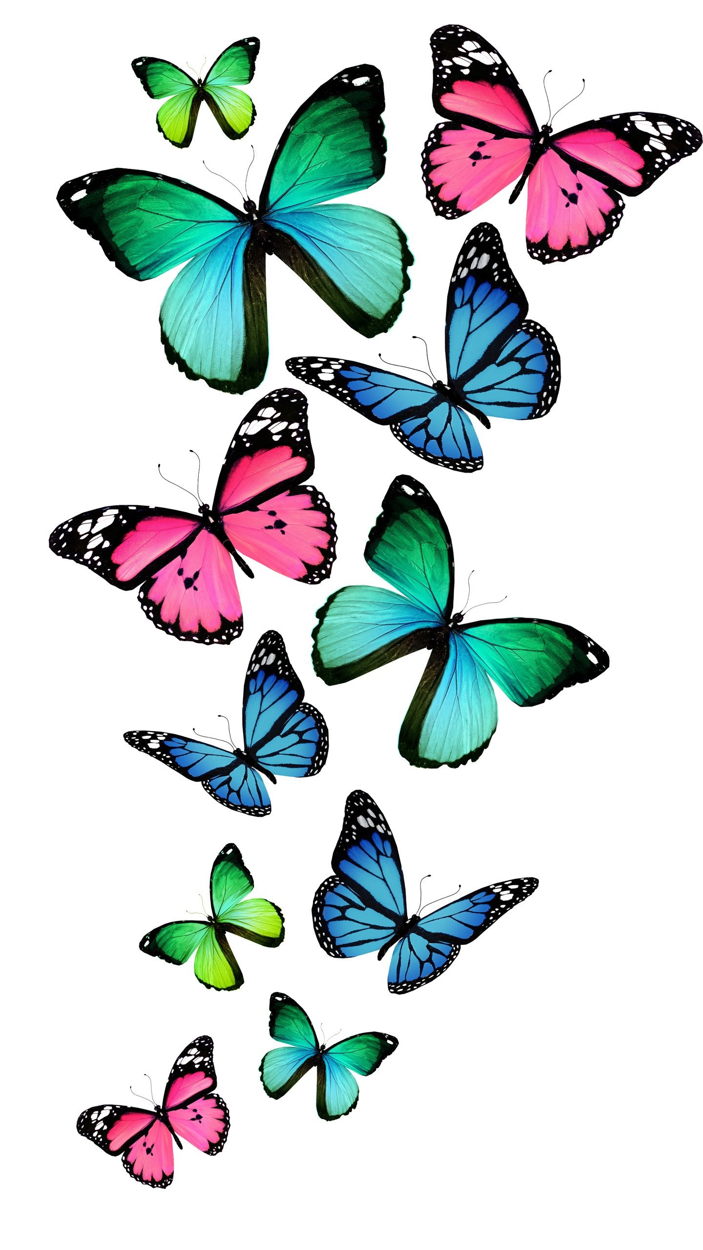 Colorful Butterfly Art Nexus 6 Wallpaper, Nexus 6 Wallpaper And. Desktop Background