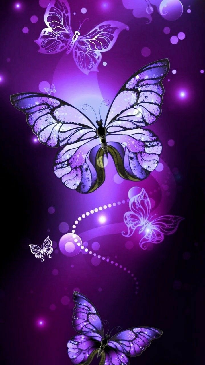 Purple Butterfly Wallpaper