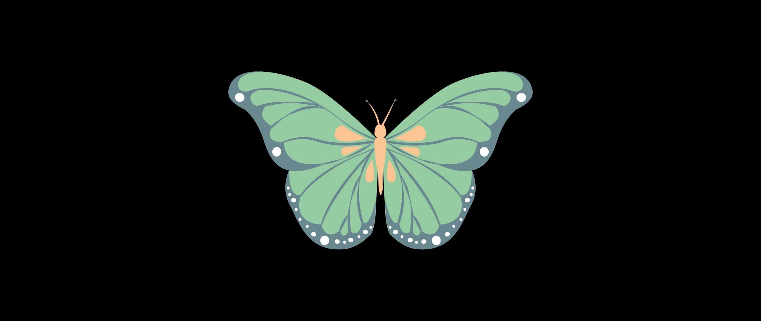 Download wallpaper 2560x1080 butterfly, art, vector, minimalism dual wide 1080p HD background