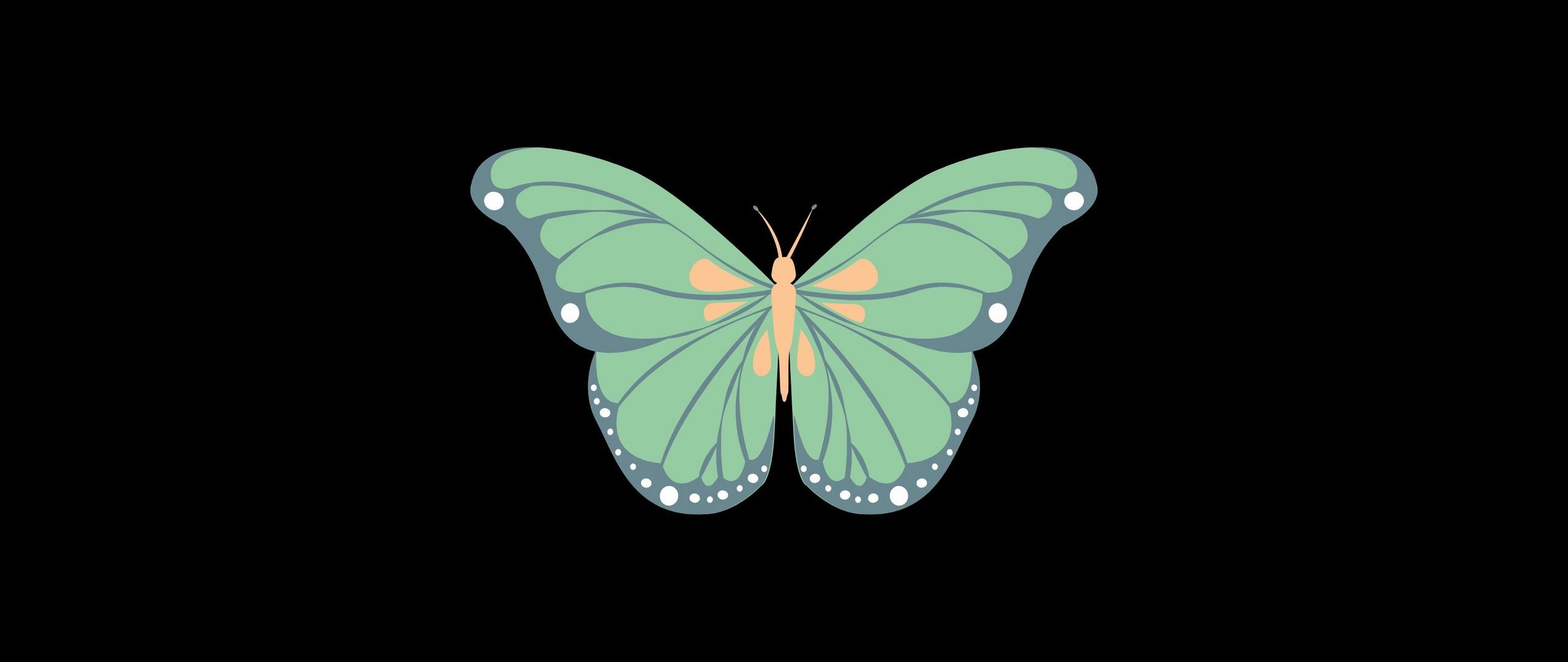 Download wallpaper 2560x1080 butterfly, art, vector, minimalism dual wide 1080p HD background