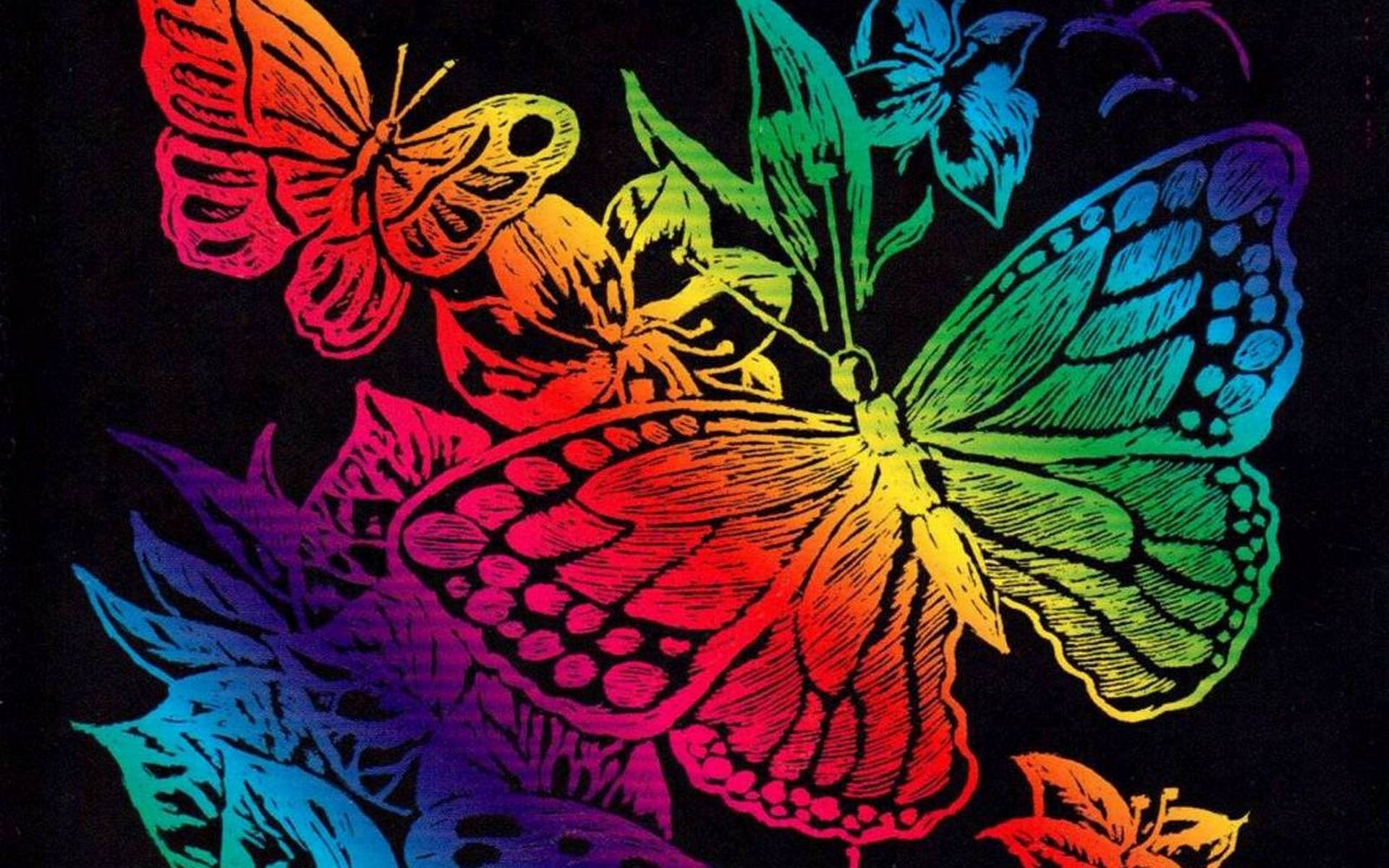 Download Wallpaper, Download colorful butterfly 1920x1200 wallpaper Wallpaper –Free Wallpaper Download