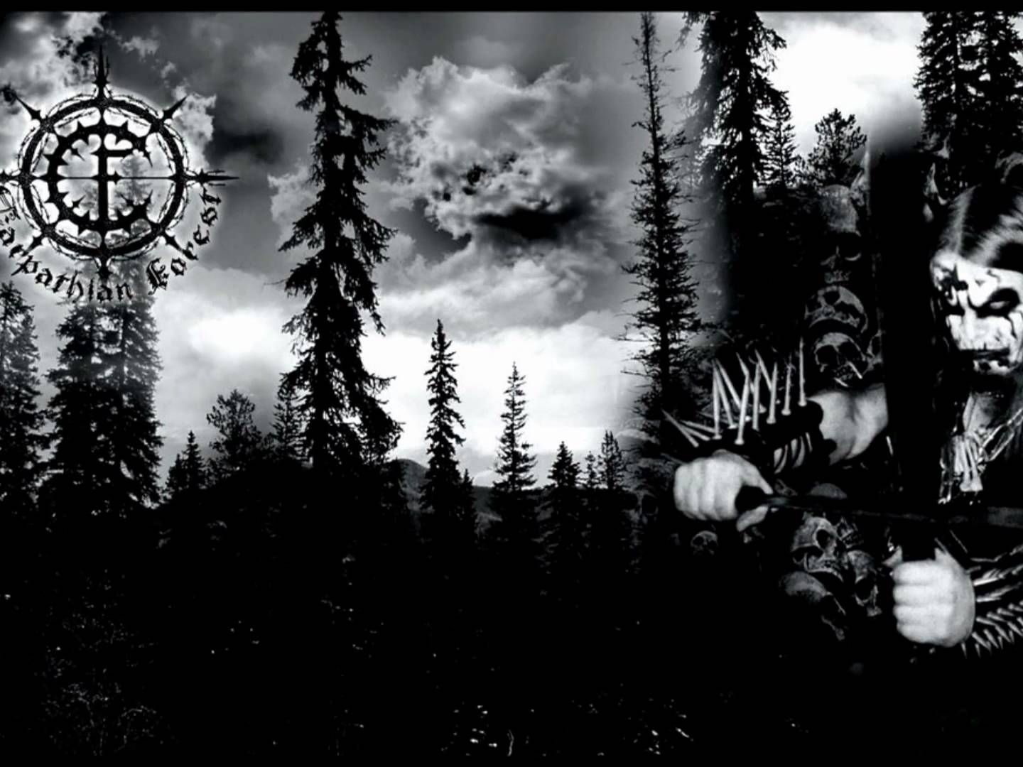Black Metal Forest Wallpaper