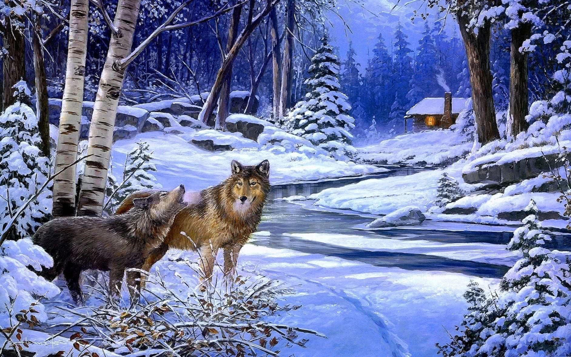winter wolf forest wallpaper
