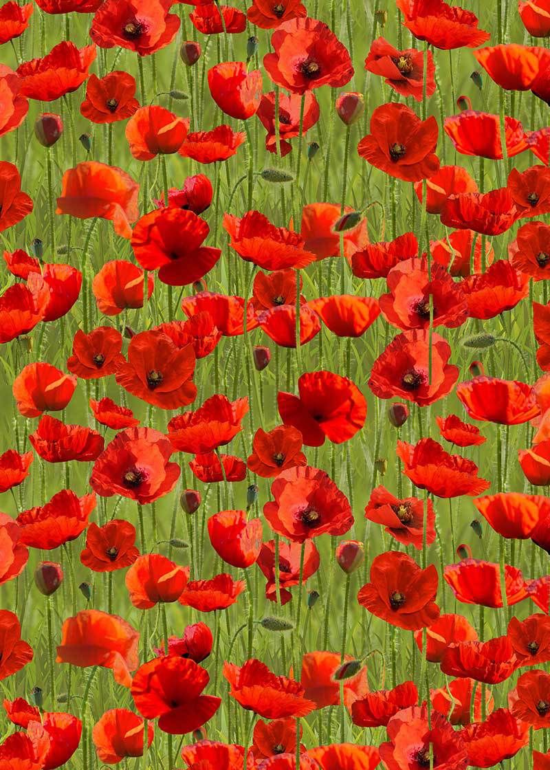 Anzac Day Remembering Day Red Poppies Green Background Cotton Quilting Fabric 1 2 YARD. Red Poppies, Remember Day, Anzac Day