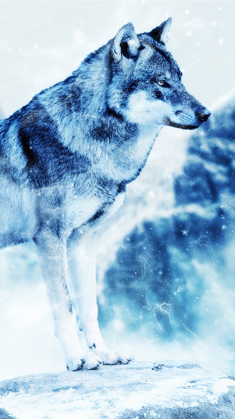 Winter Wolf, Predator, Snowing 750x1334 IPhone 8 7 6 6S Wallpaper, Background, Picture, Image