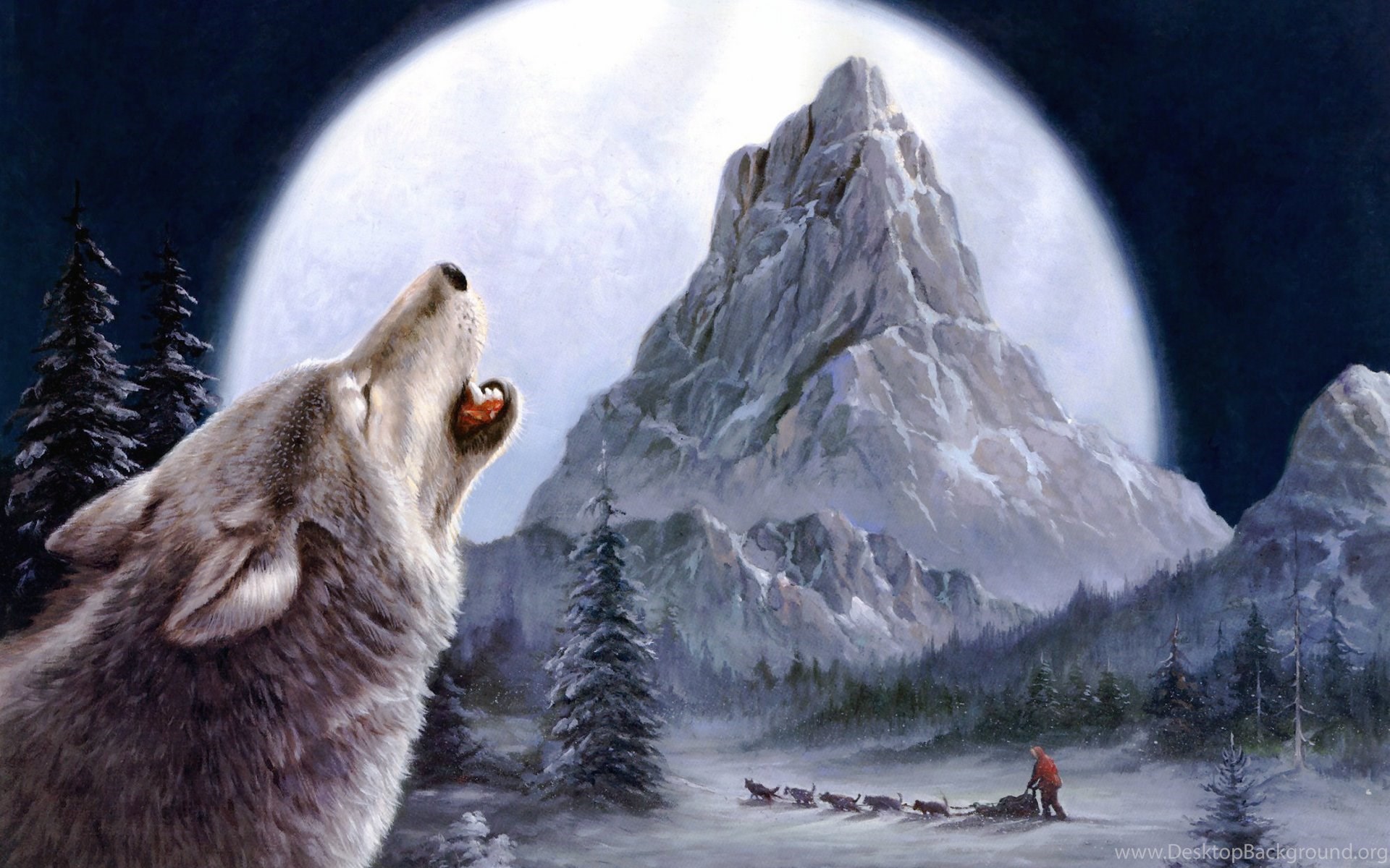 Winter Wolves Wallpaper (12) Desktop Background