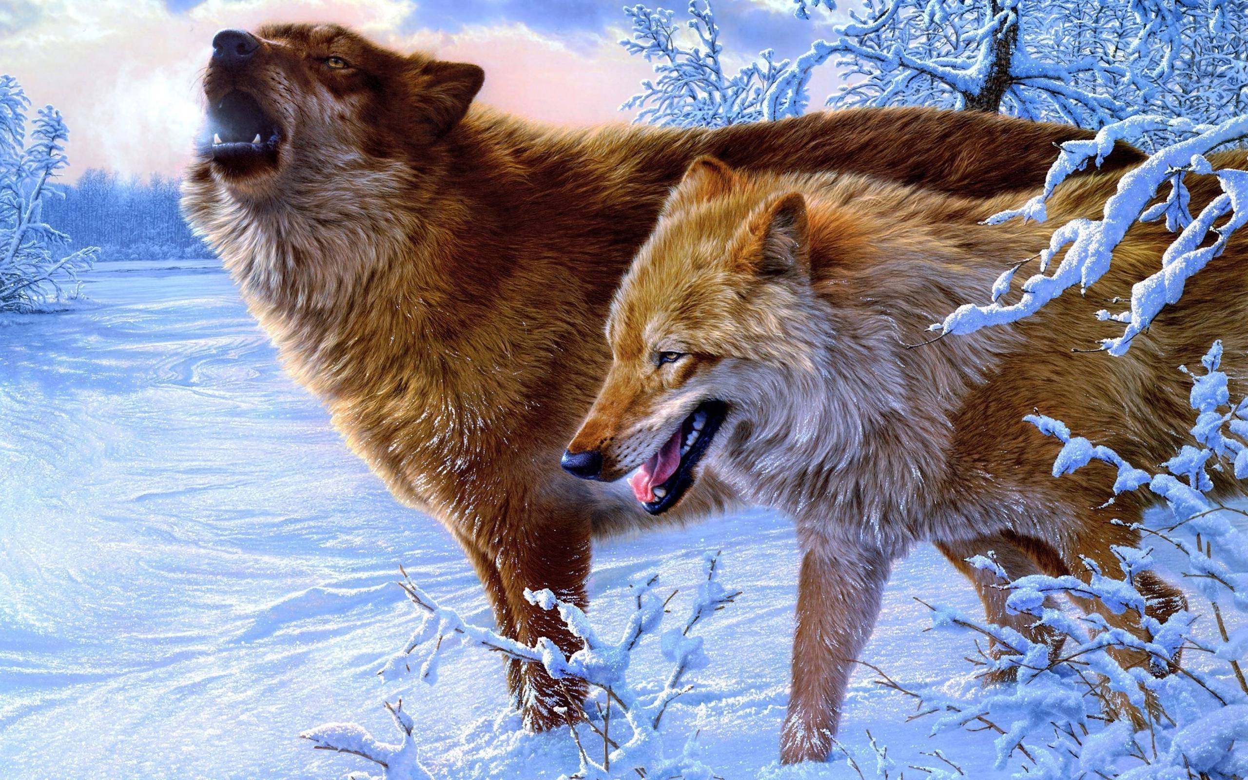 3D 4k Winter Wolf Snow Wolves Wallpaper Wolf Wallpaper & Background Download