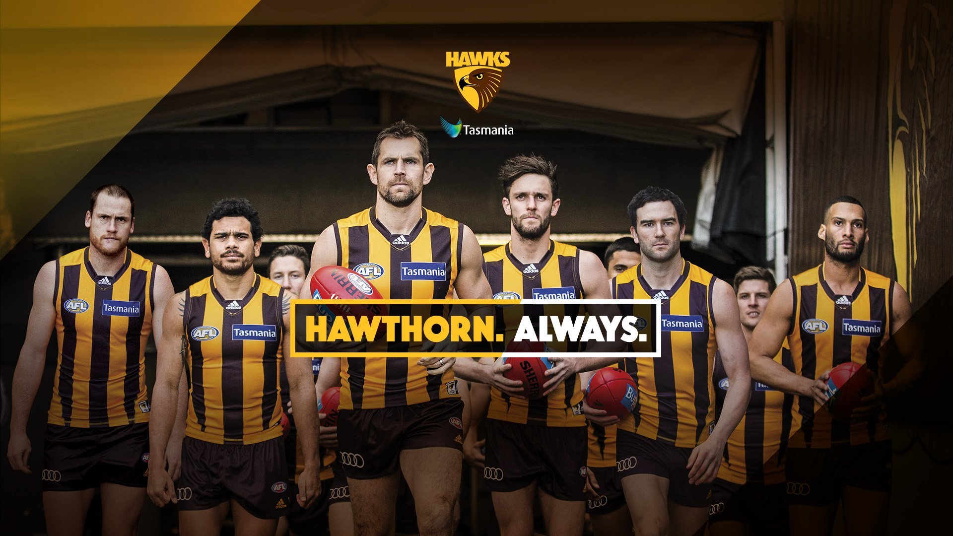 Hawthorn FC Hawks wallpaper are now available for your phone, tablet and computer! Get them here