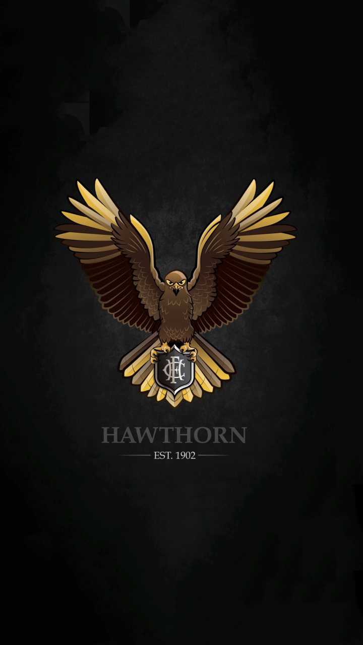 Hawthorn Hawks Wallpaper Free HD Wallpaper