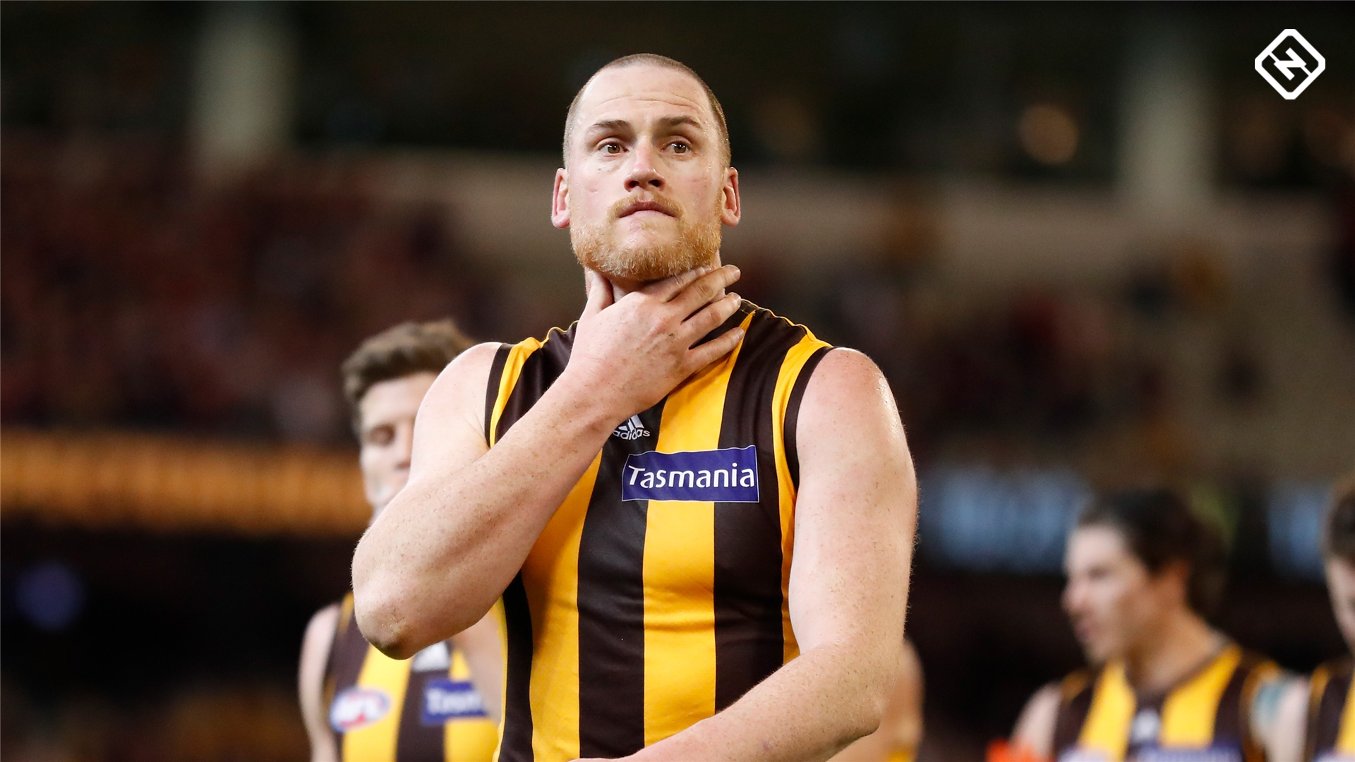 Hawthorn Hawks: 2019 fixtures, preview, list changes, every player and odds