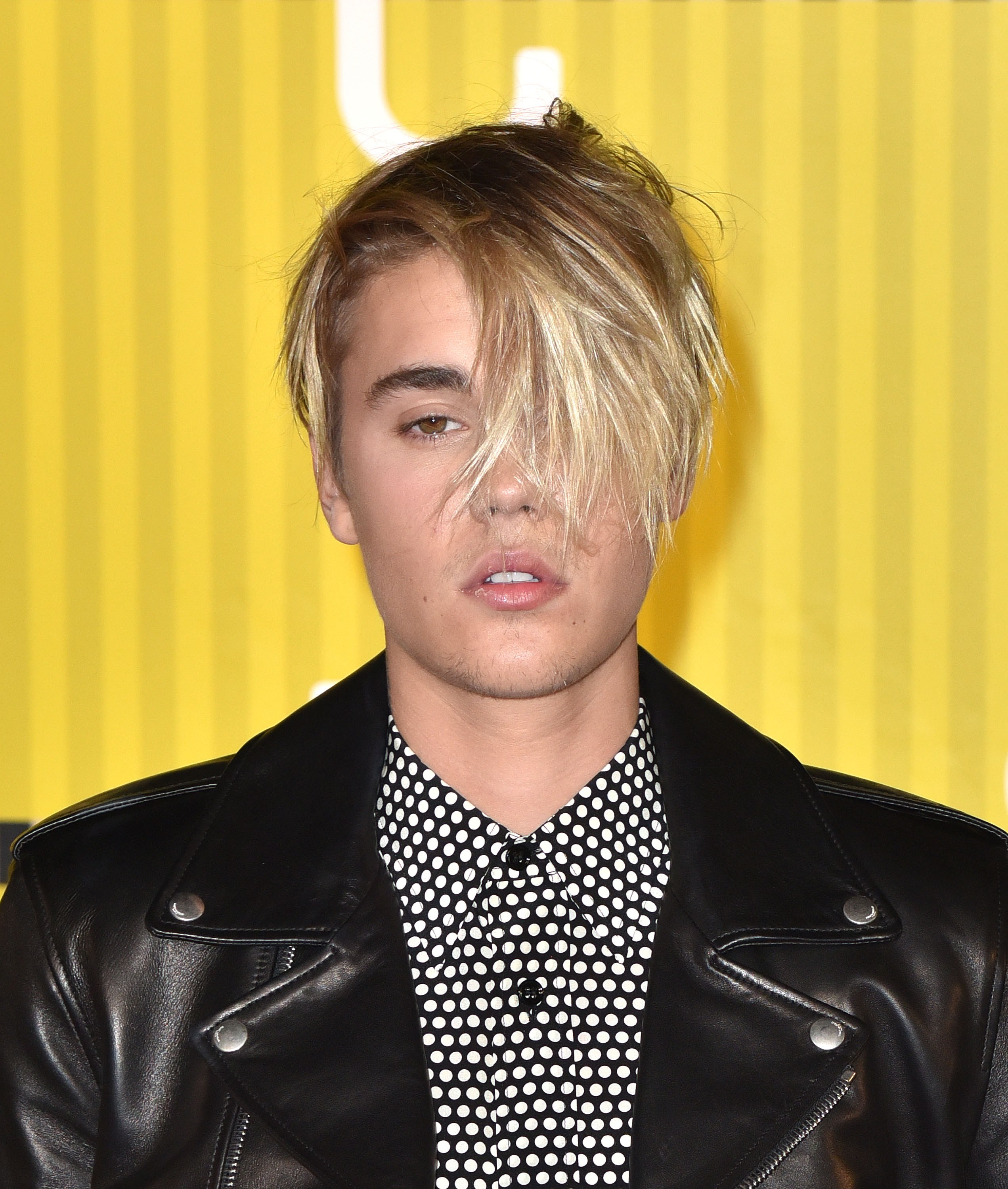 Justin Bieber hairstyle: Short sides, thick top. The hazards of the  cockatiel.