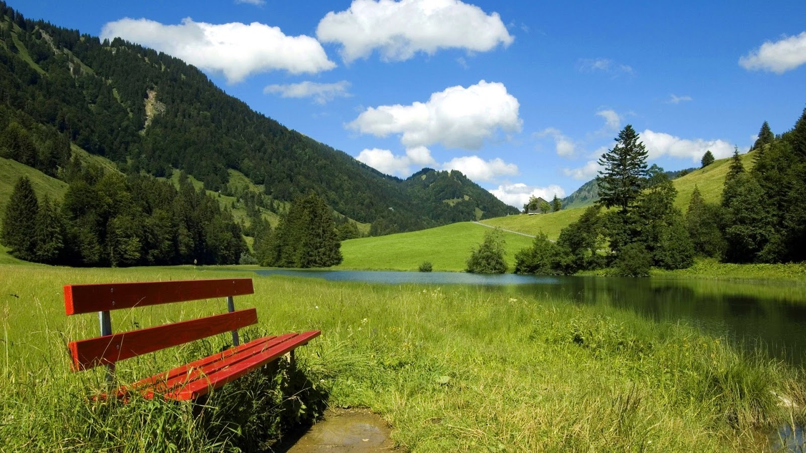 Free download Best HD Natural Wallpaper Ever High Definition Wallpaper [1600x900] for your Desktop, Mobile & Tablet. Explore Great HD Wallpaper. Great White Shark Wallpaper Hd, Great White Wallpaper, HD Wallpaper