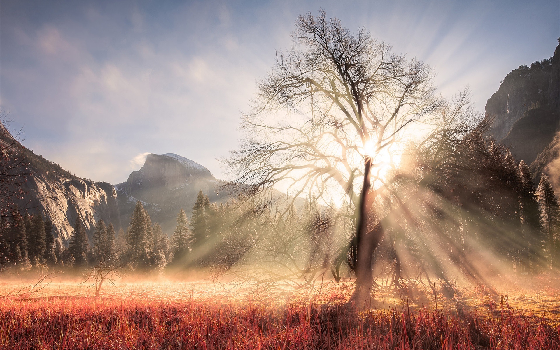 Wallpaper USA, California, Yosemite National Park, winter, tree, sun rays, mountains 1920x1200 HD Picture, Image