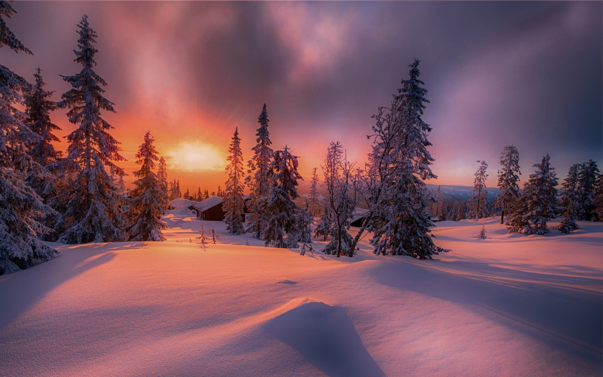 Wallpaper, sunlight, trees, landscape, forest, white, sunset, nature, red, sky, snow, winter, clouds, sunrise, yellow, ice, cold, Norway, evening, morning, frost, horizon, spruce, atmosphere, Arctic, dusk, fir, Freezing, cottage, conifer, light