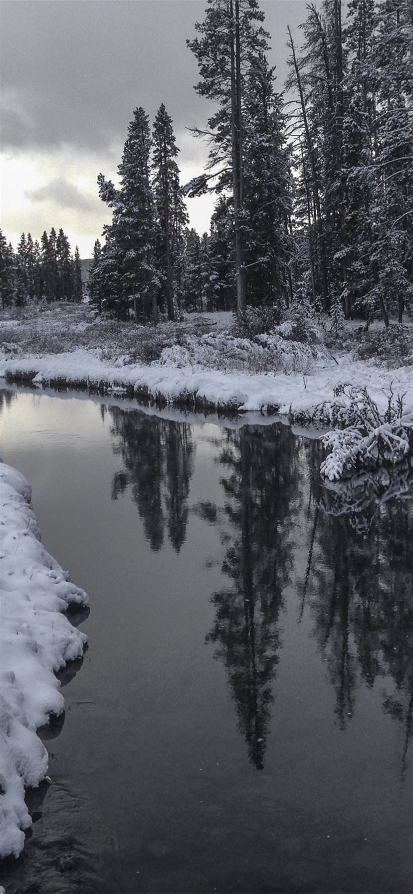 Latest United states iPhone 11 HD Wallpaper