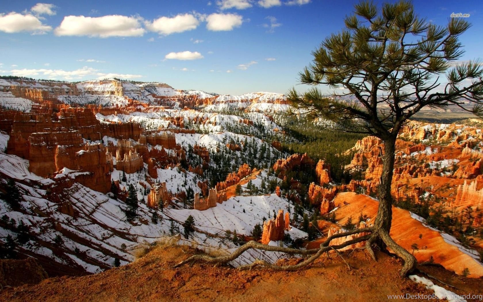 Snow In Bryce Canyon National Park Wallpaper Nature Wallpaper. Desktop Background
