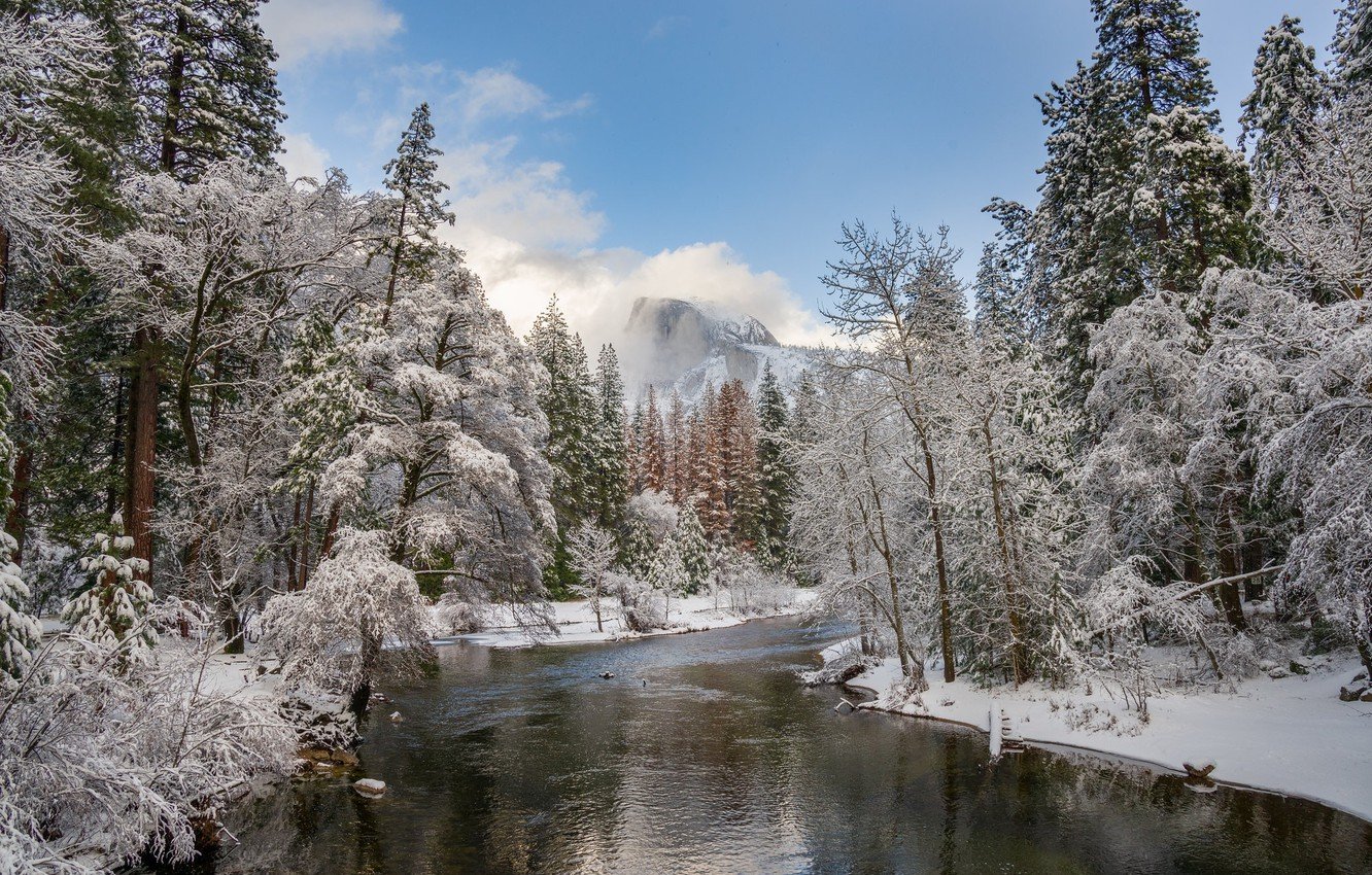 Wallpaper winter, forest, snow, landscape, nature, river, beauty image for desktop, section пейзажи