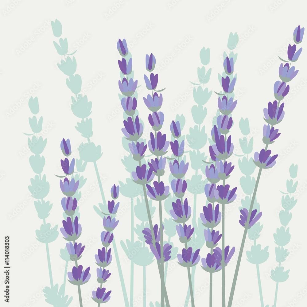 Vintage Spring Watercolor Background with Lavender Flowers. Vintage background for textile, texture, wallpaper, invitation, greeting cards, wedding etc Stock Vector