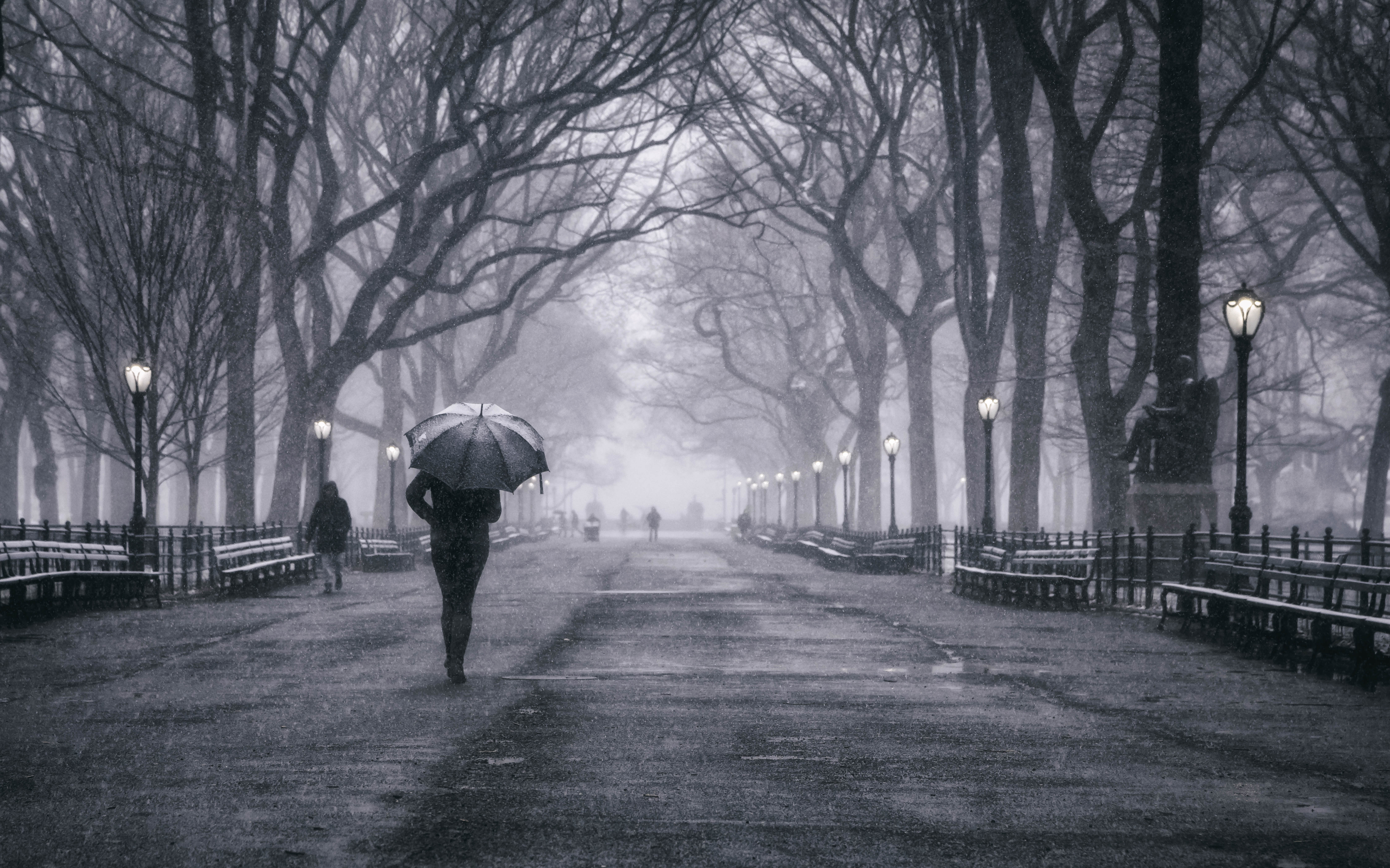 Wallpaper, centralpark, Manhattan, nyc, newyorkcity, snow, winter, street, people, newyork, unitedstates, us 6621x4136