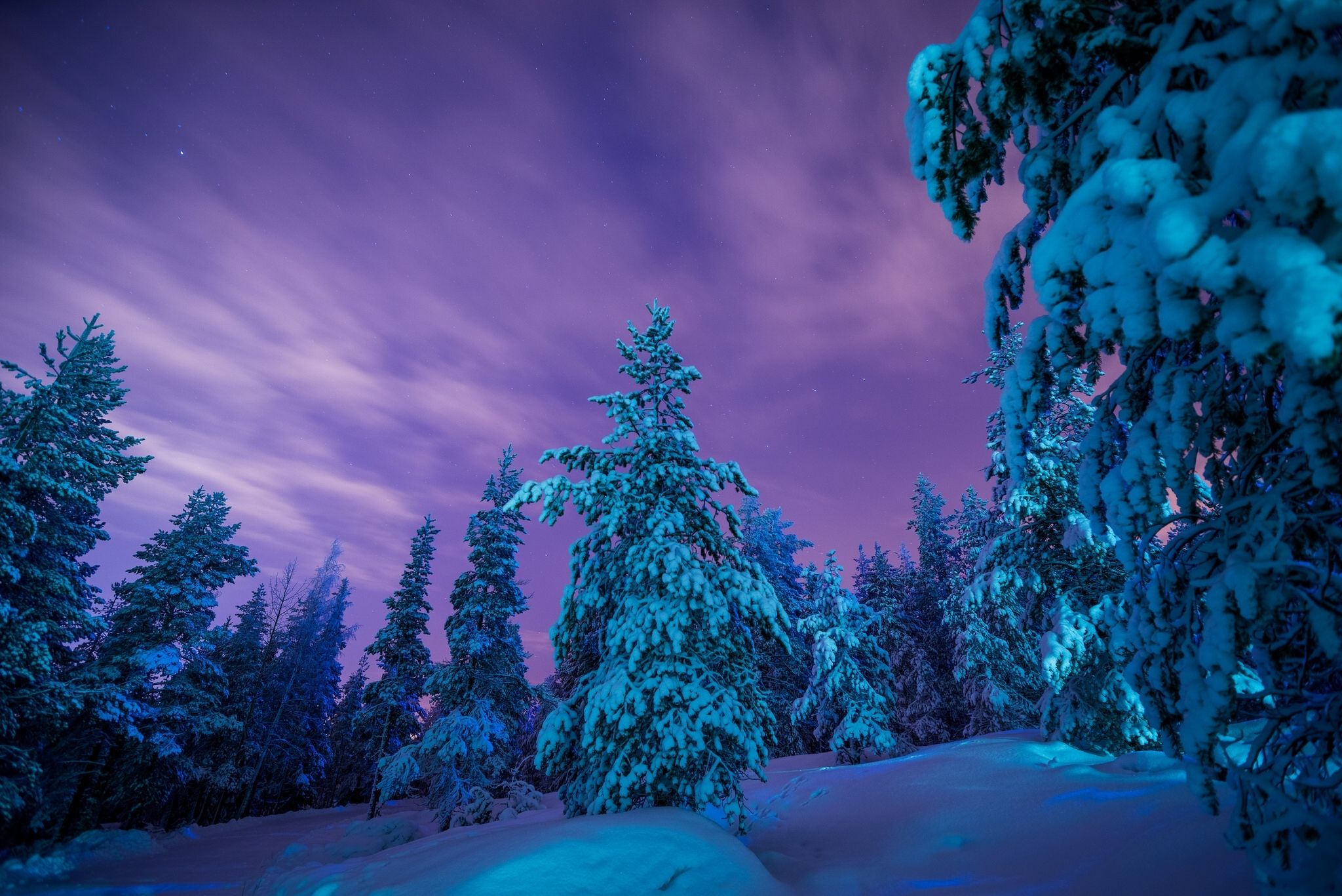 Winter Forest at Dusk Computer Wallpaper, Desktop Backgroundx1367. Winter picture, Winter landscape, Background image