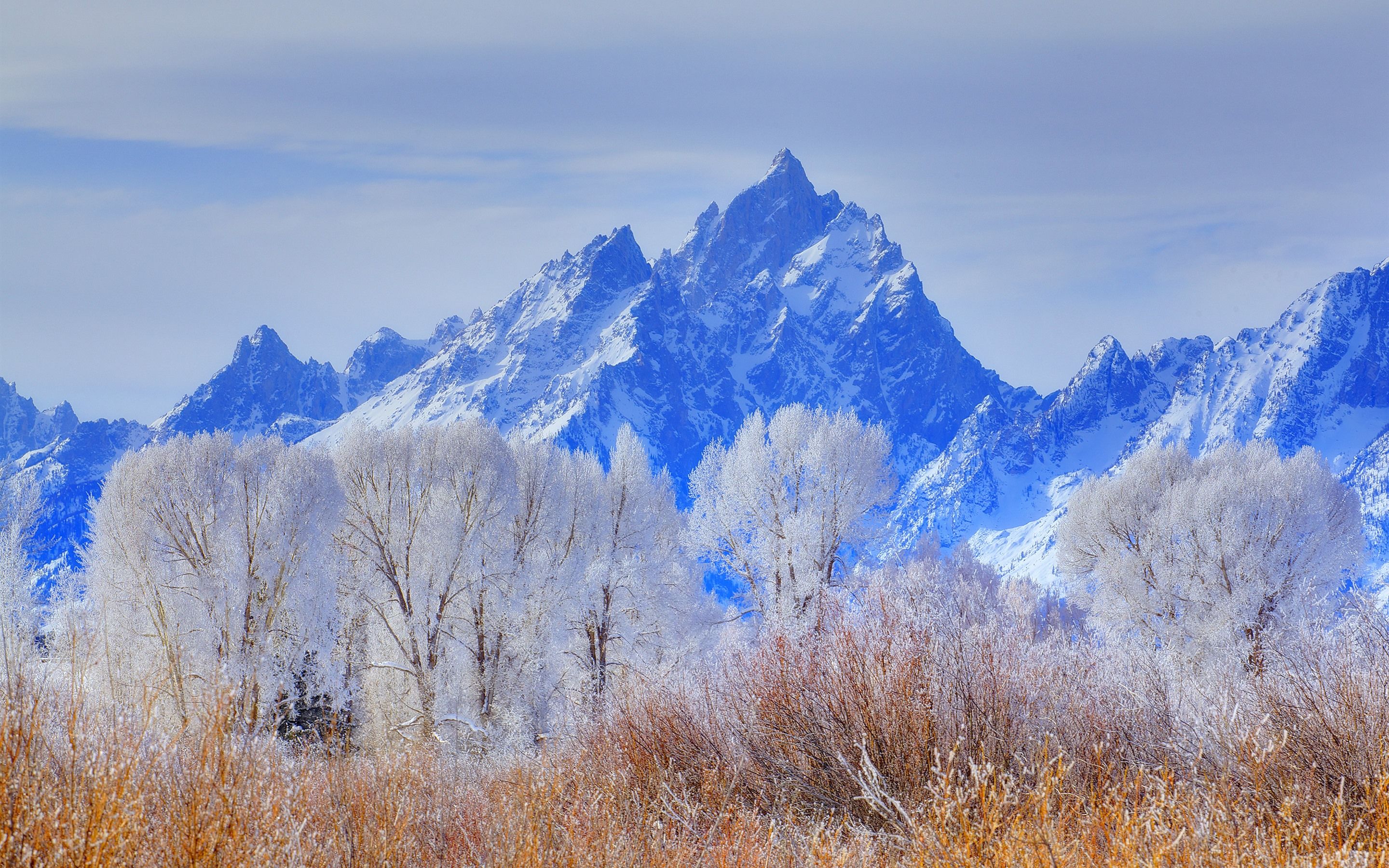 Grand Tetons Winter Wallpaper, HD Grand Tetons Winter Background on WallpaperBat
