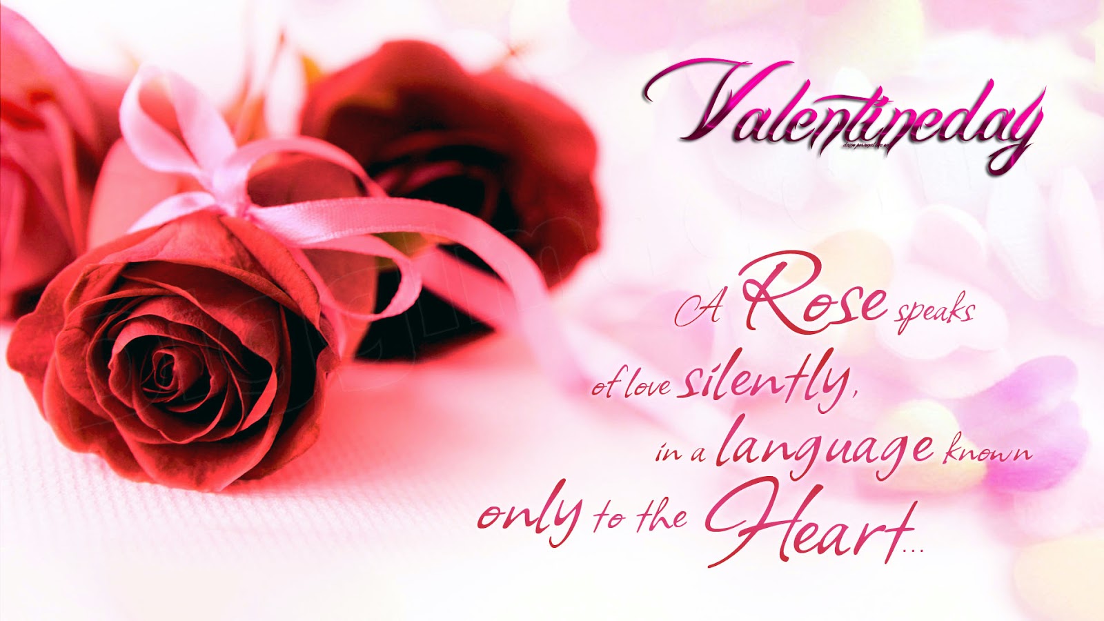Valentine Flower Quotes Wallpapers - Wallpaper Cave