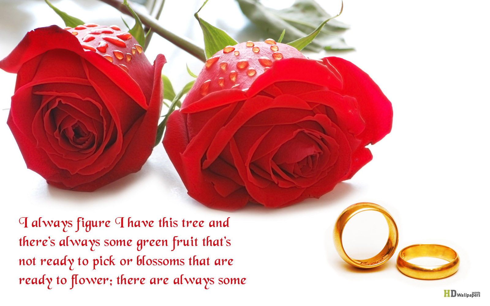 Quotes About Red Flowers. QuotesGram