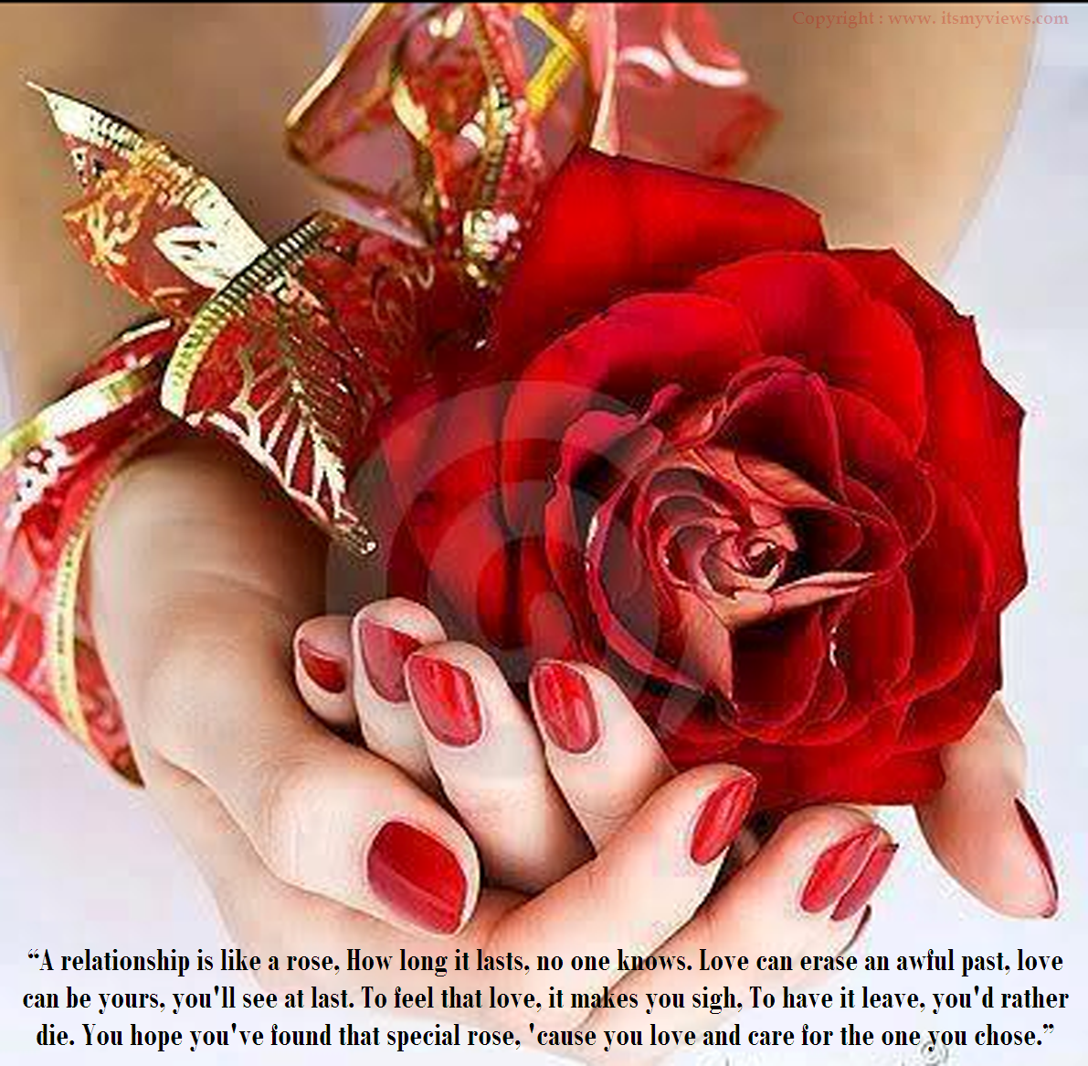 Valentines Roses With Quotes. QuotesGram