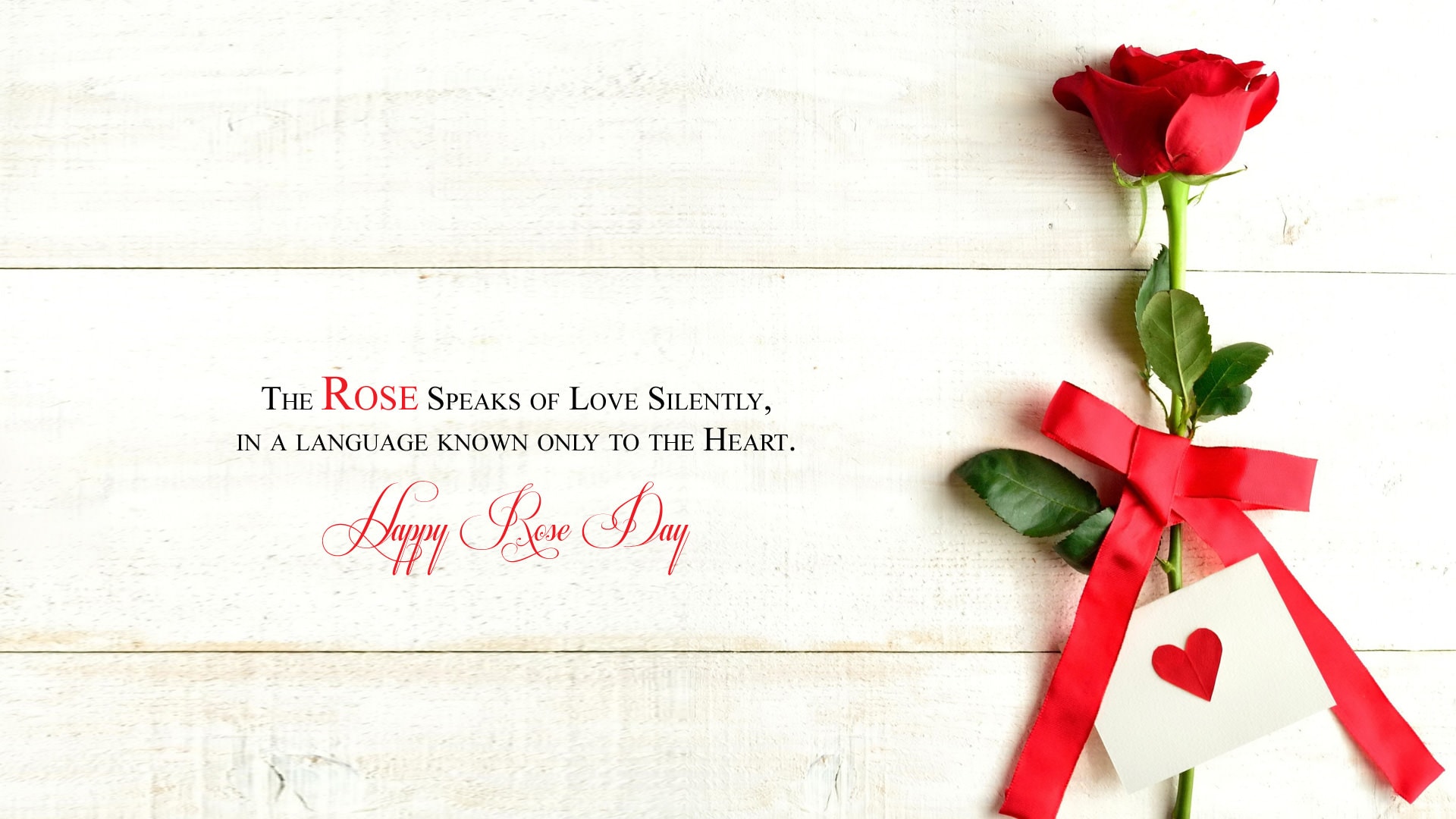 Th Feb Valentine Rose Day Wallpaper Facebook Whatsapp Woman Good Morning Love Quotes Wallpaper & Background Download