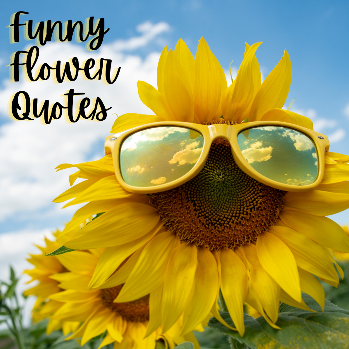 Funny Flower Quotes and Sayings to Include With a Bouquet