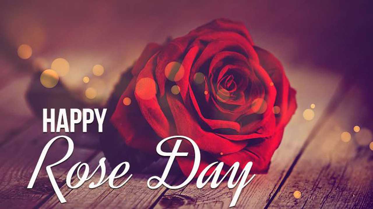 Happy Rose Day 2021 wishes: Whatsapp Status, Facebook Messages, Quotes and Picture on the first Day of Valentine Week