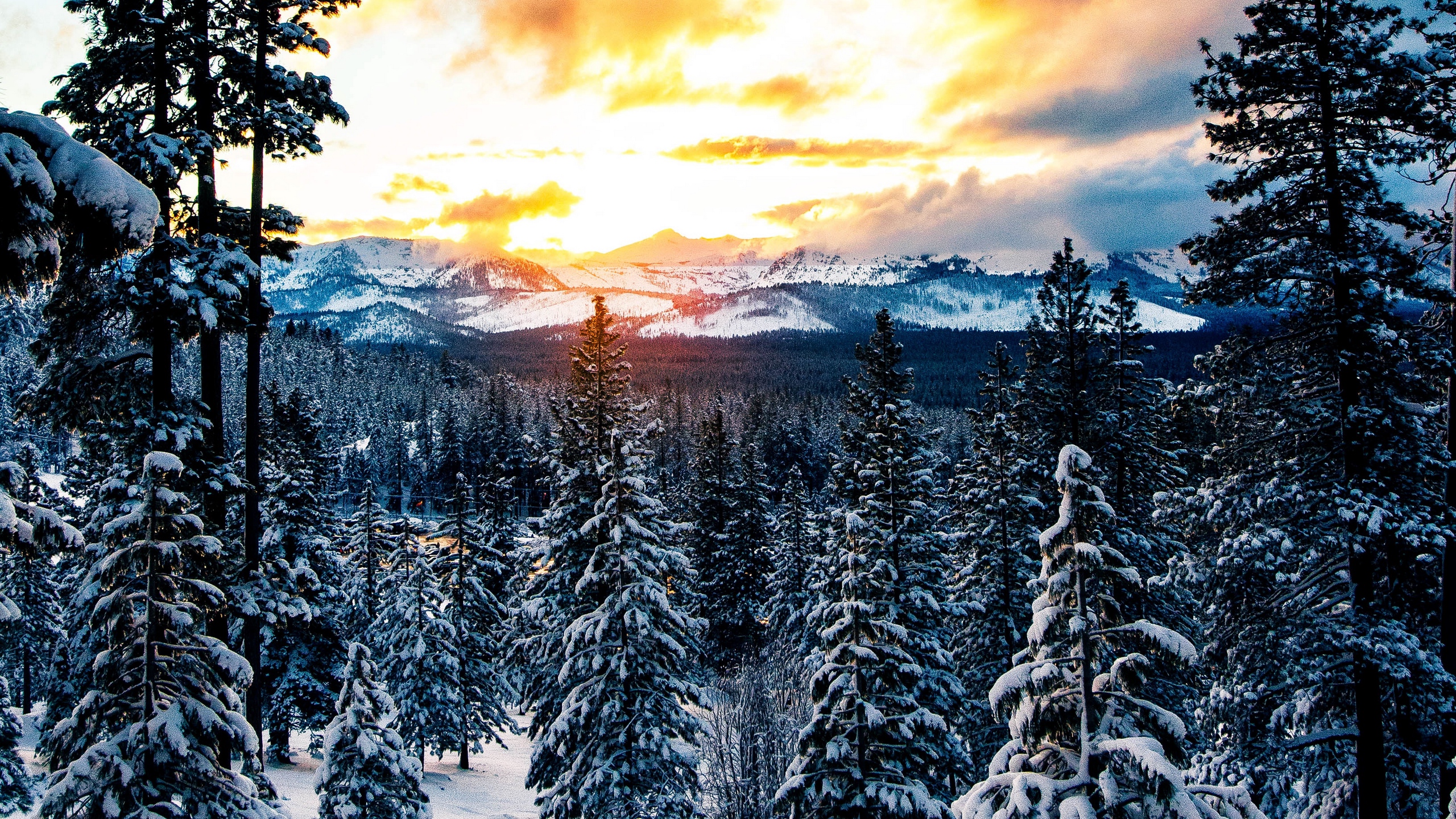 Wallpaper Forest, Winter, Mountains, Snow Forest Mountain Background