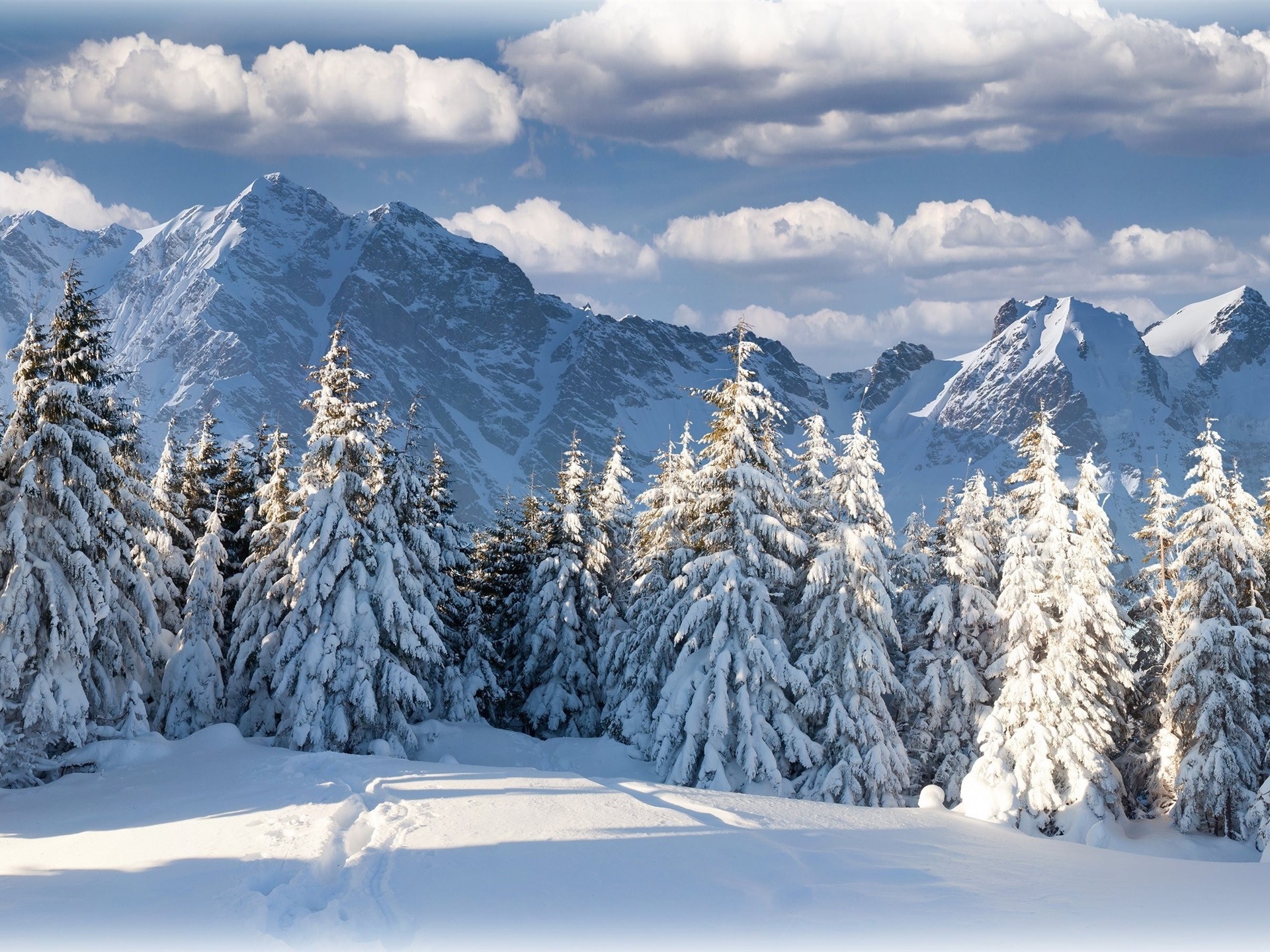Wallpaper Winter, snow, forest, trees, mountains 2880x1800 HD Picture, Image